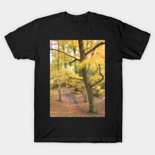 Fall in Polstead #2 T-Shirt